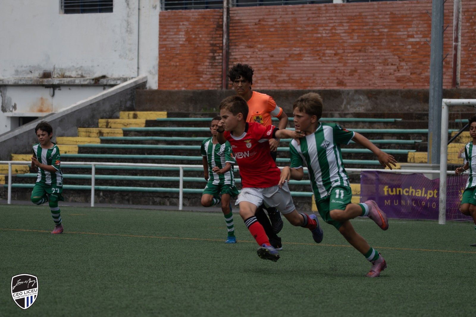 Entrega de Medalhas-15